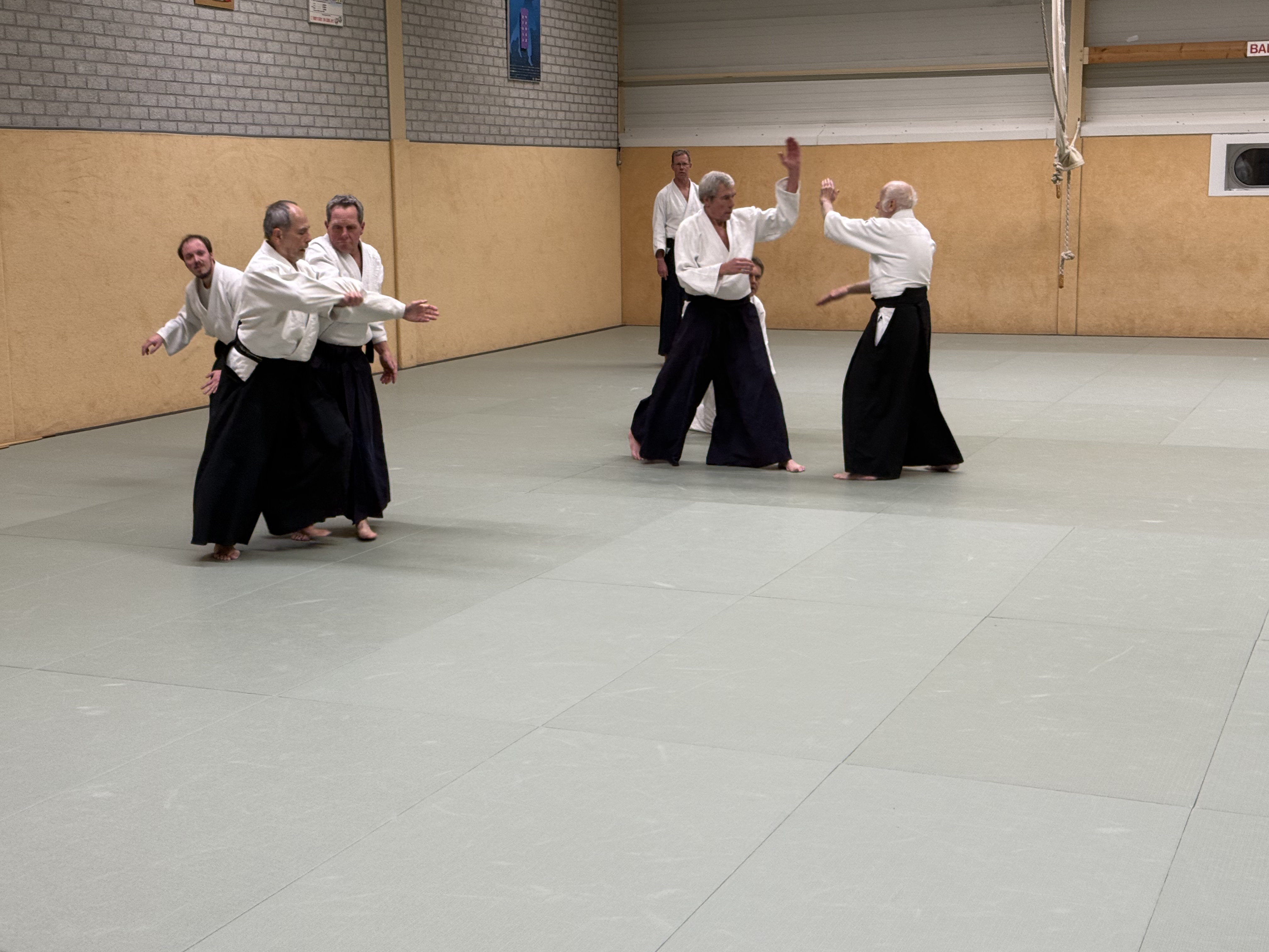 Aikido training Haarlem