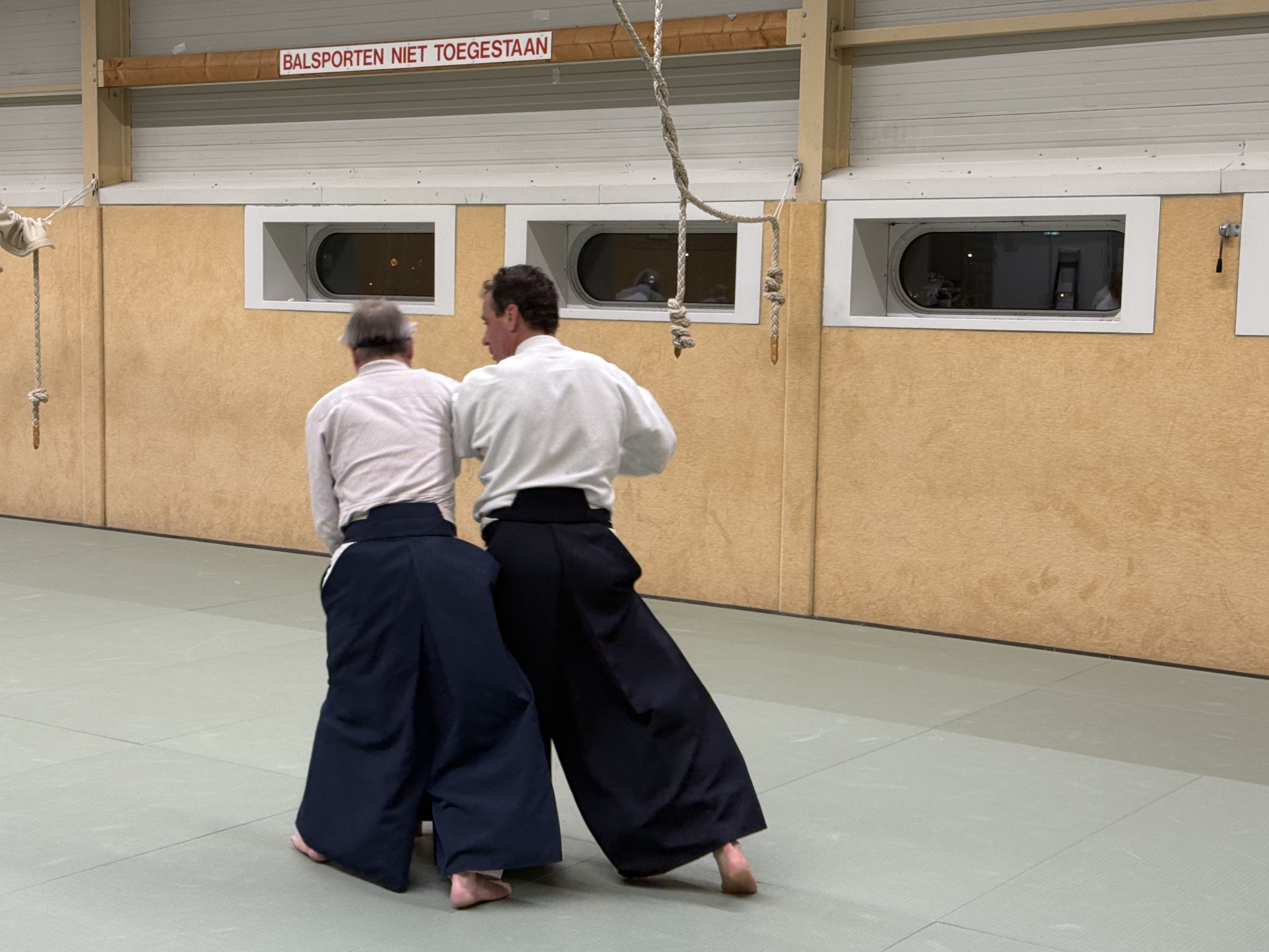 Aikido training Haarlem