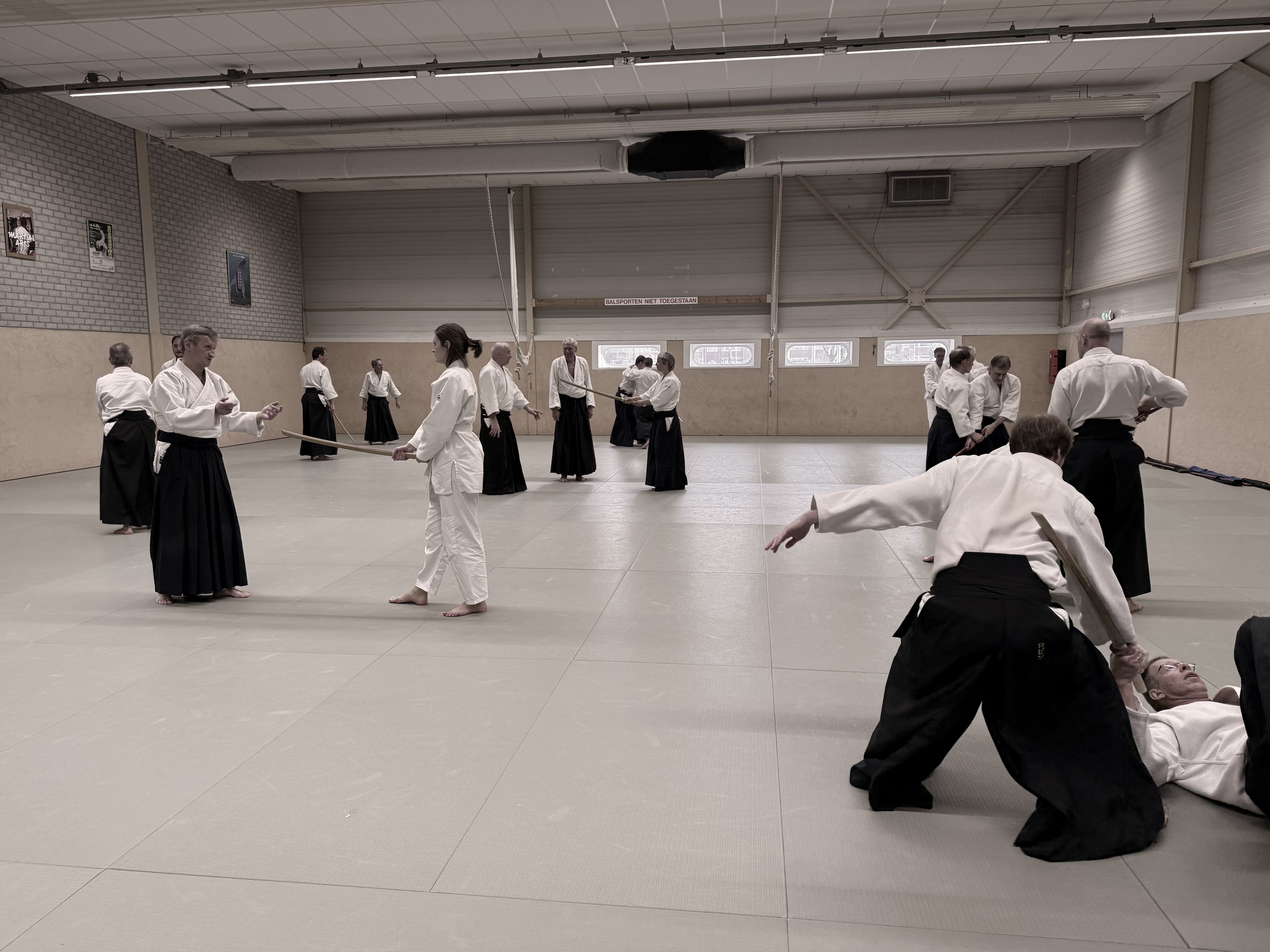 Aikido training Haarlem