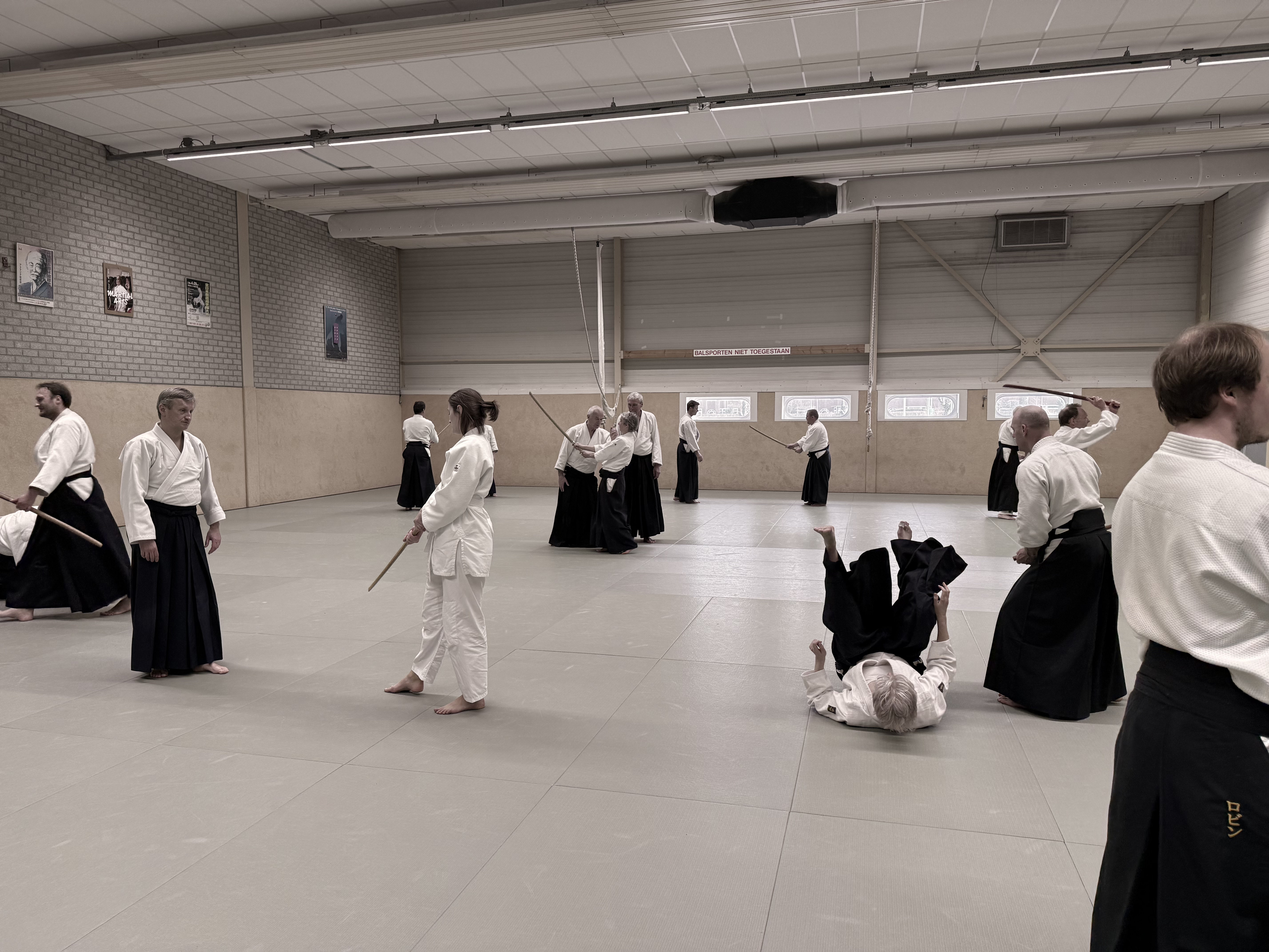 Aikido training Haarlem