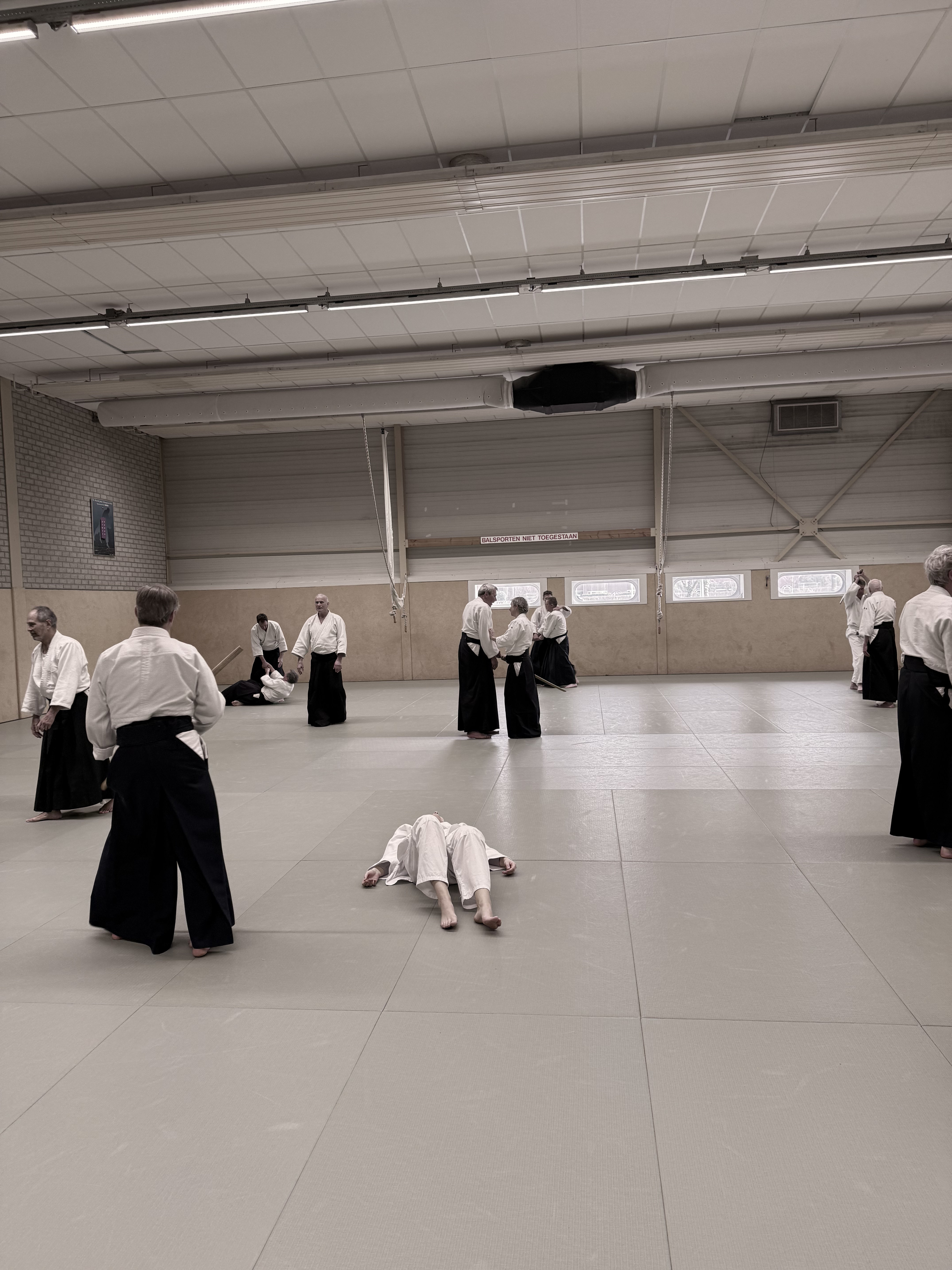 Aikido training Haarlem