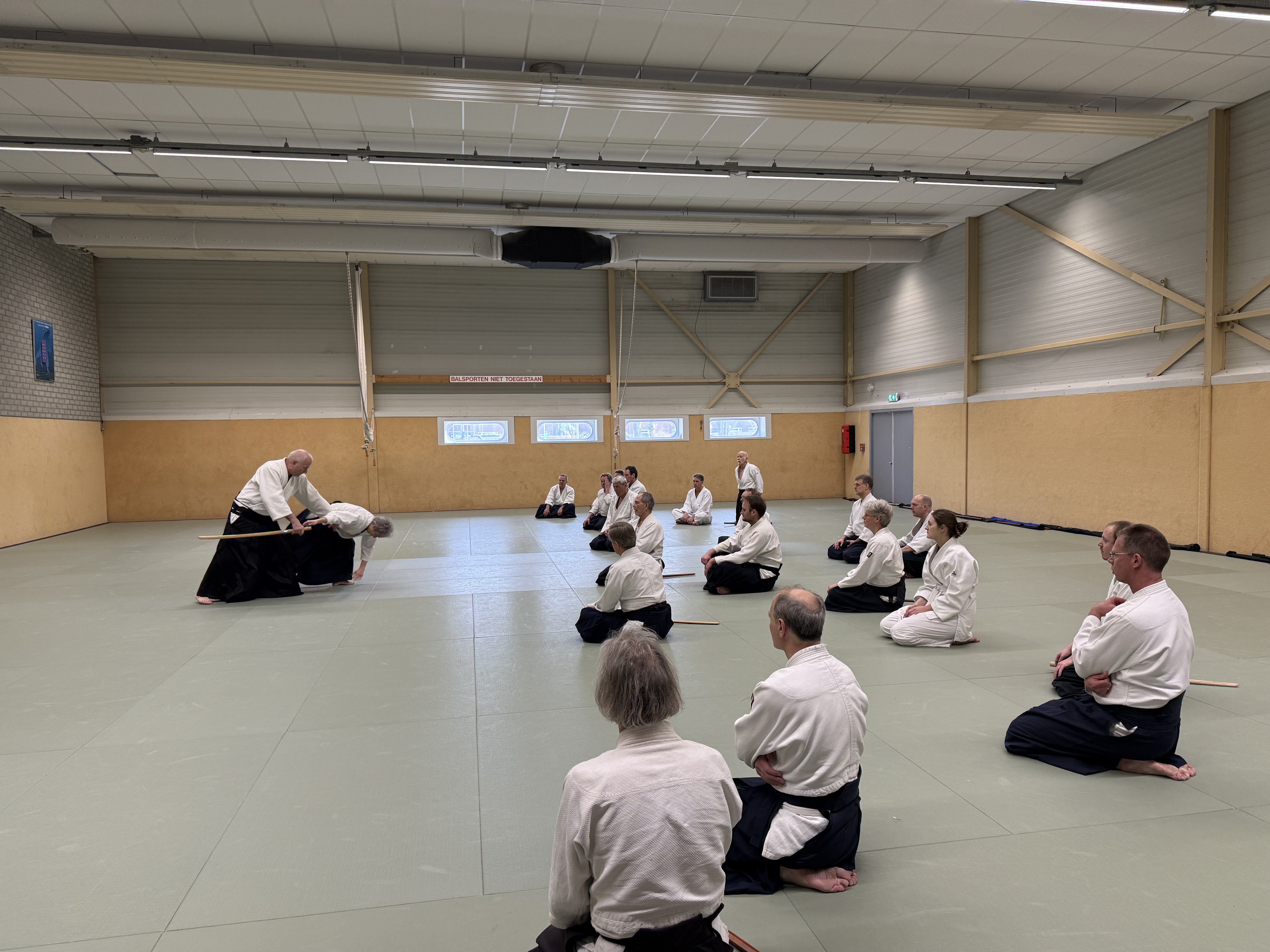 Aikido training Haarlem