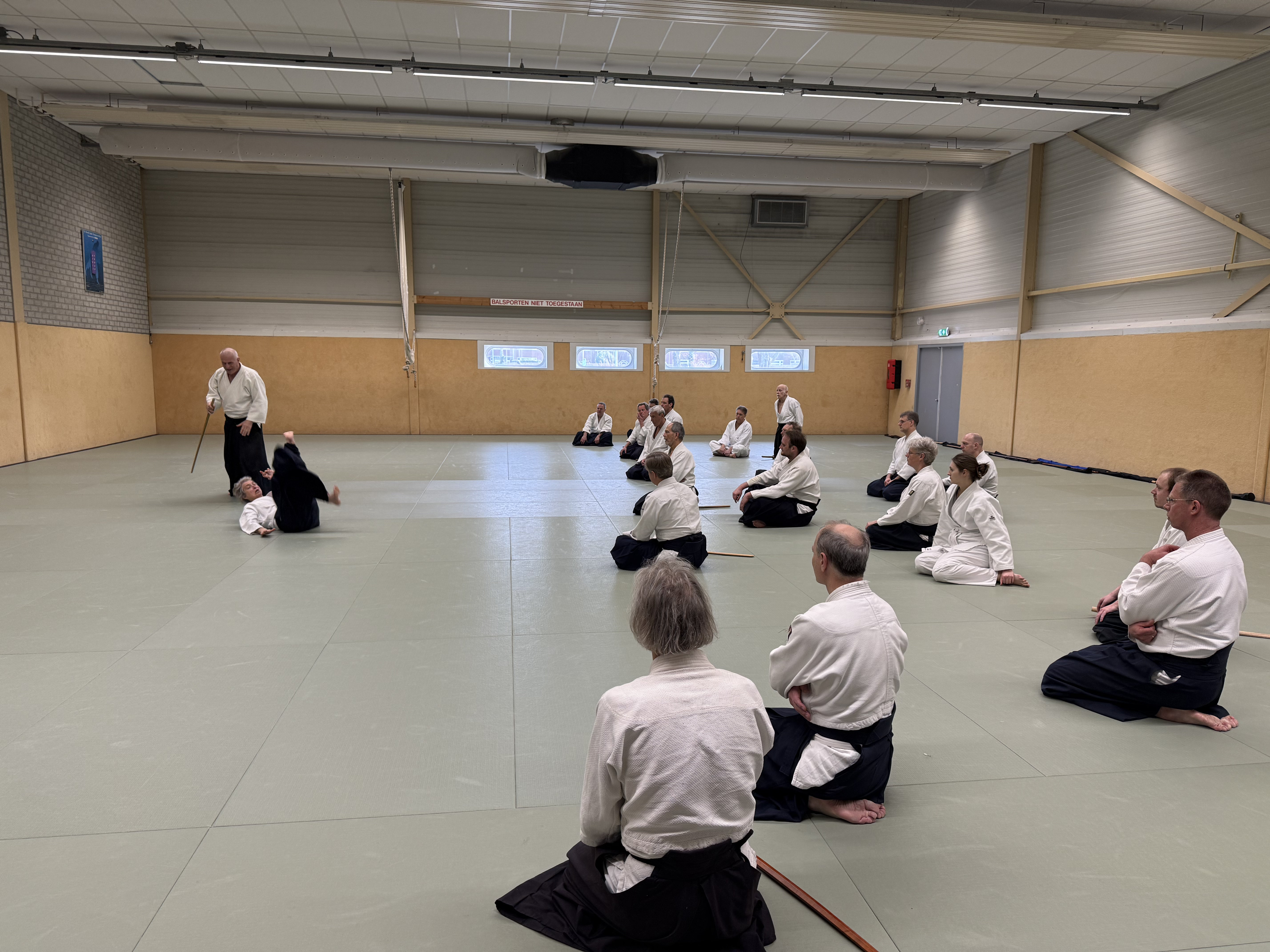 Aikido training Haarlem