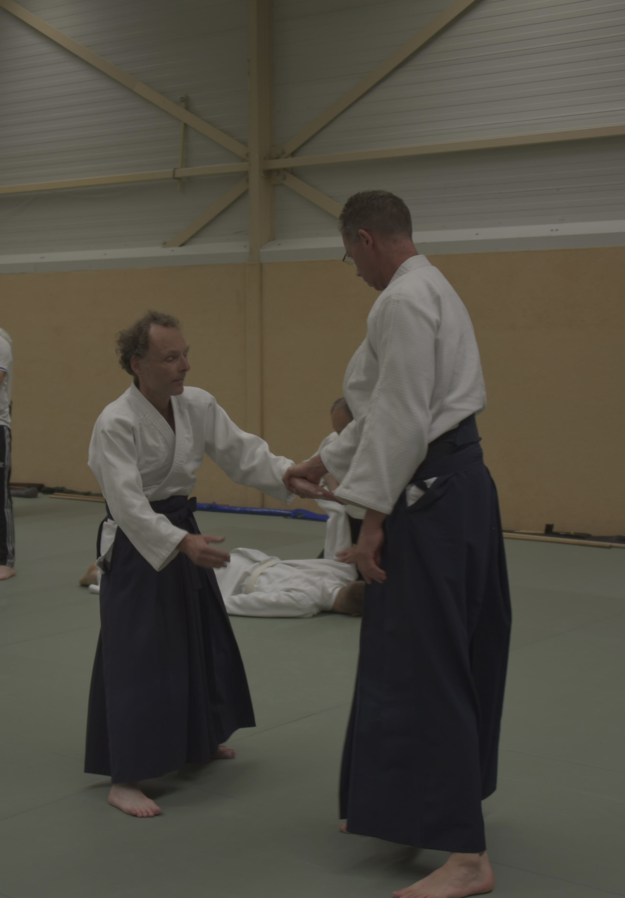 Aikido training Haarlem