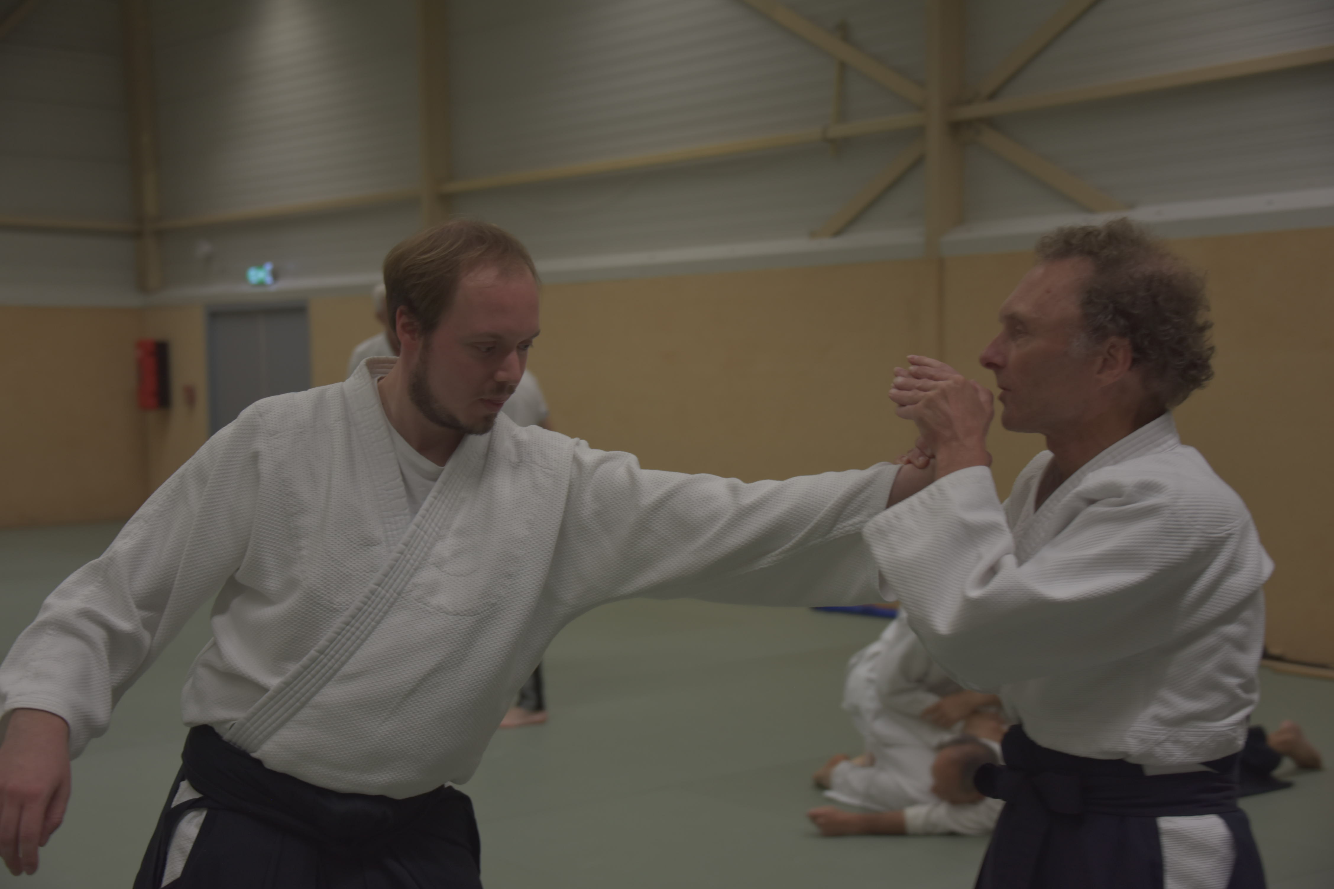 Aikido training Haarlem