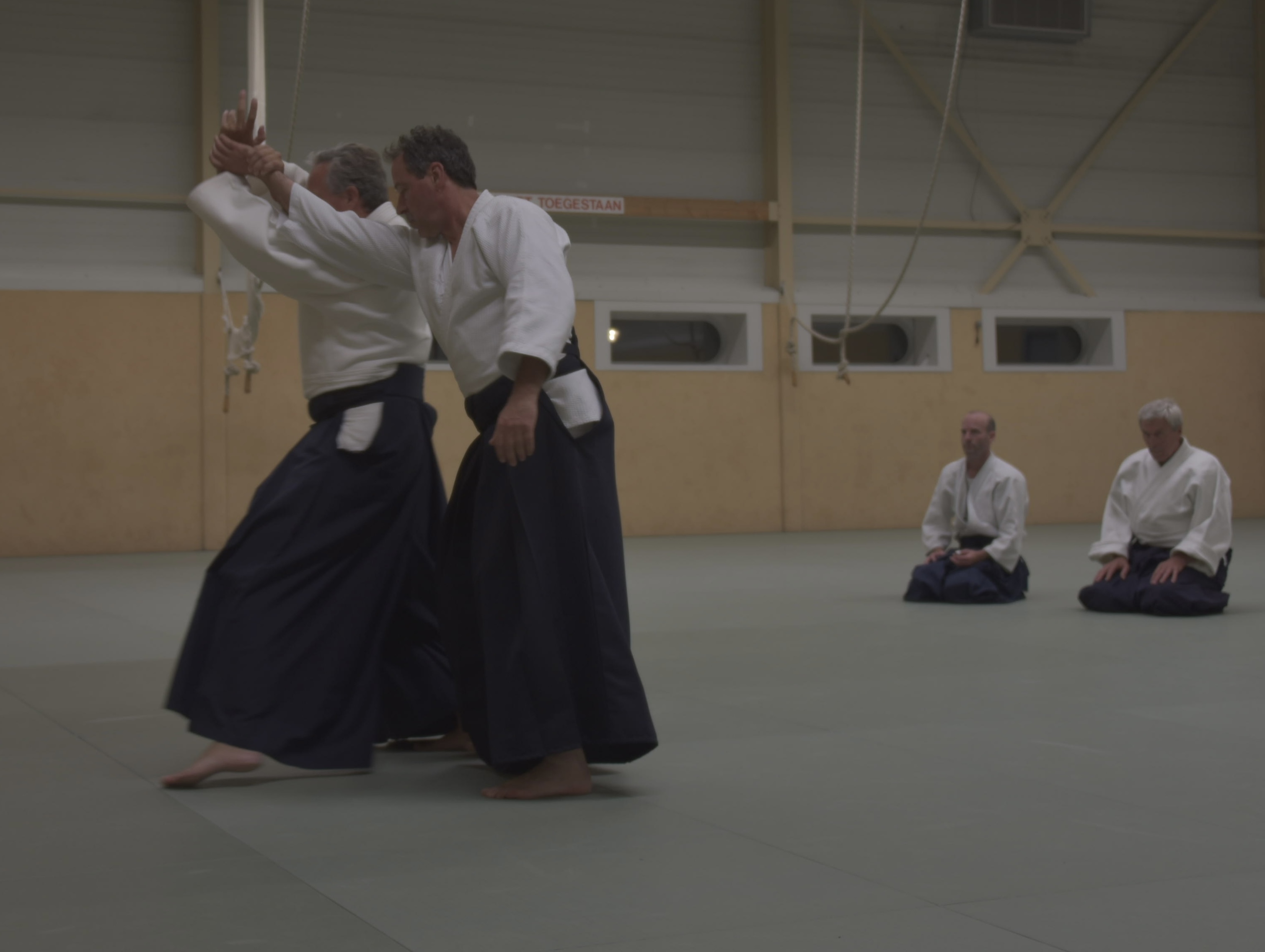 Aikido training Haarlem