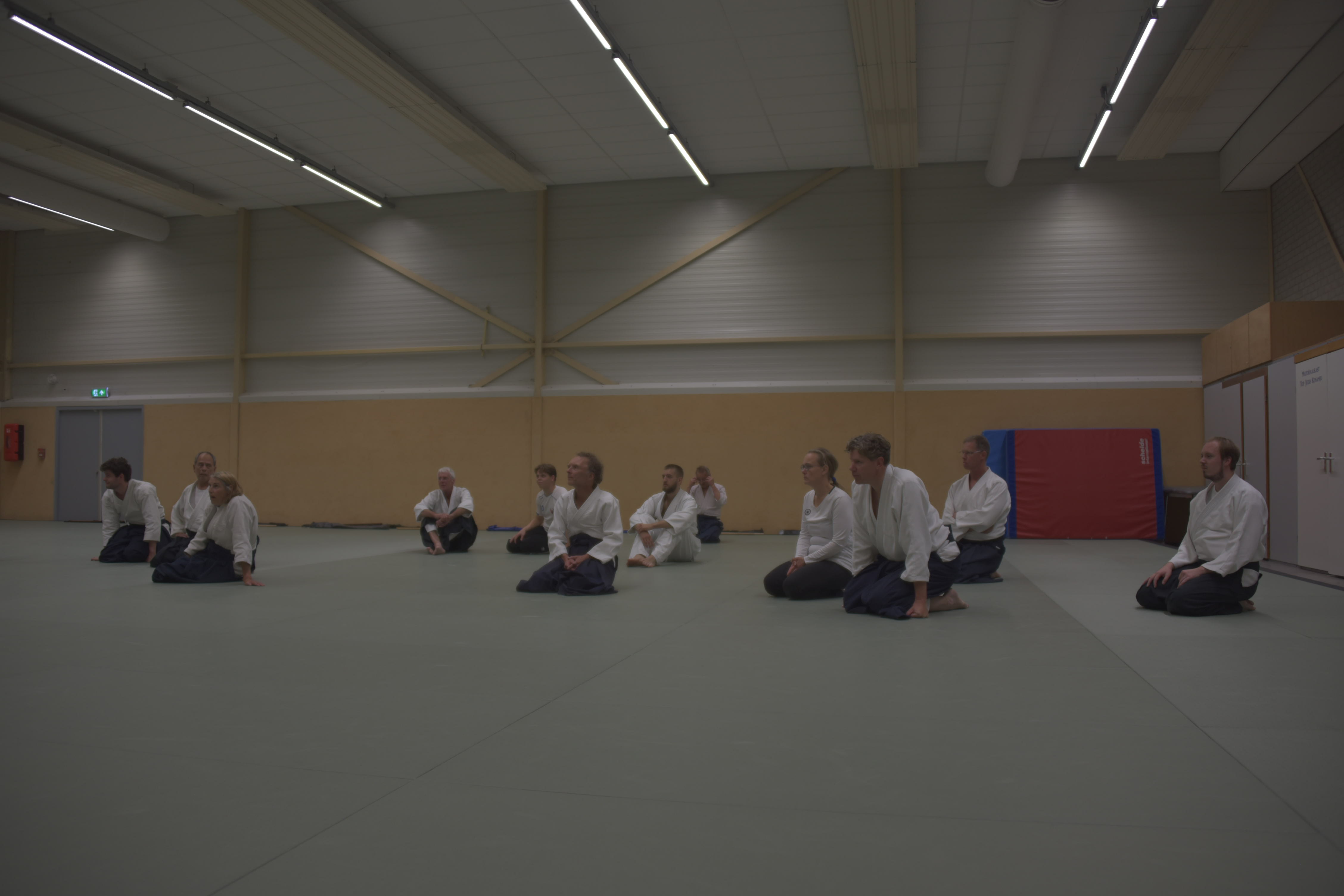 Aikido training Haarlem