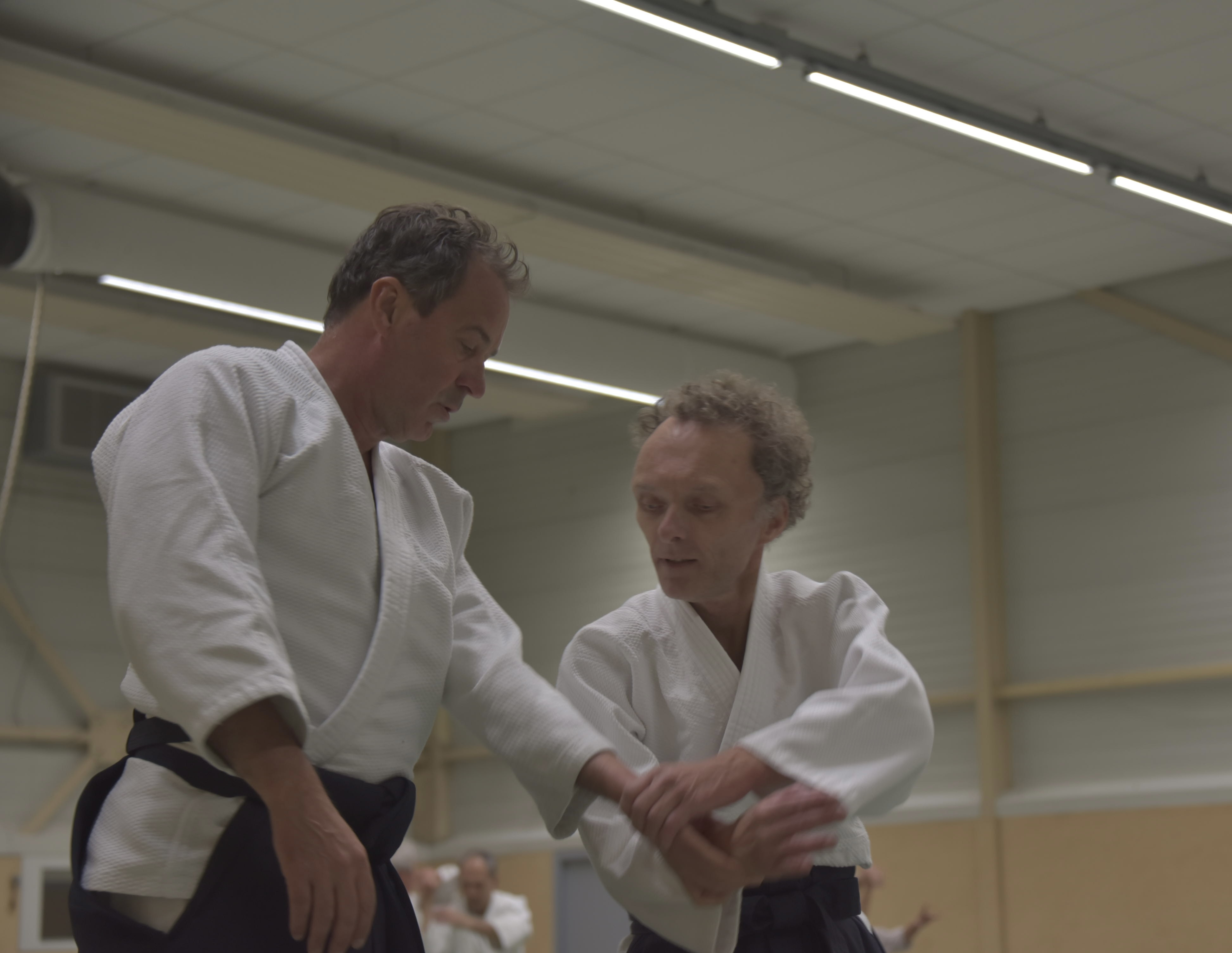 Aikido training Haarlem