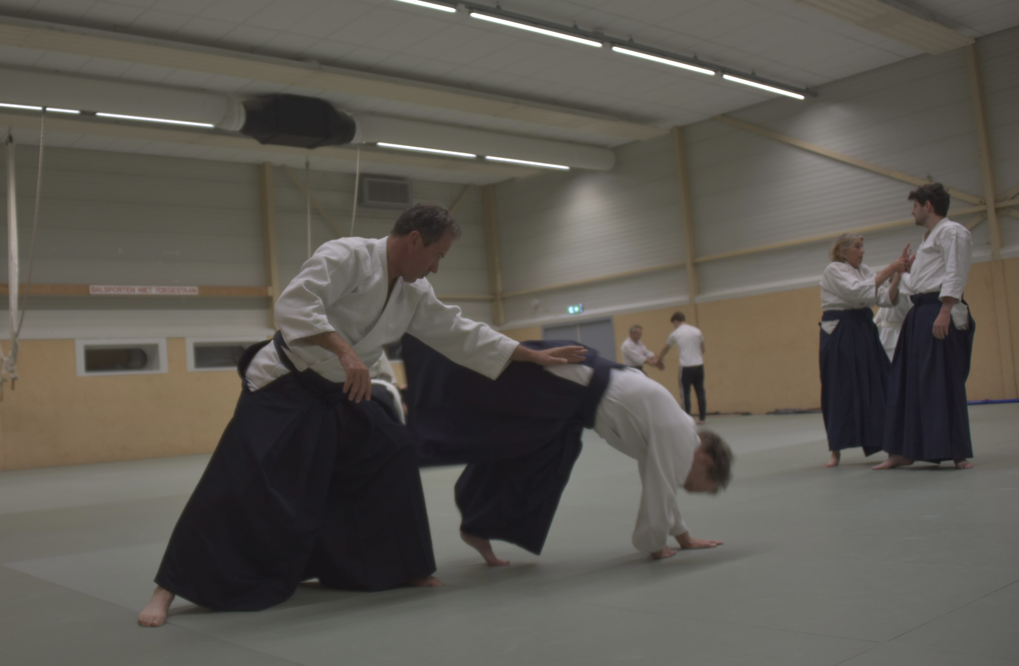 Aikido training Haarlem