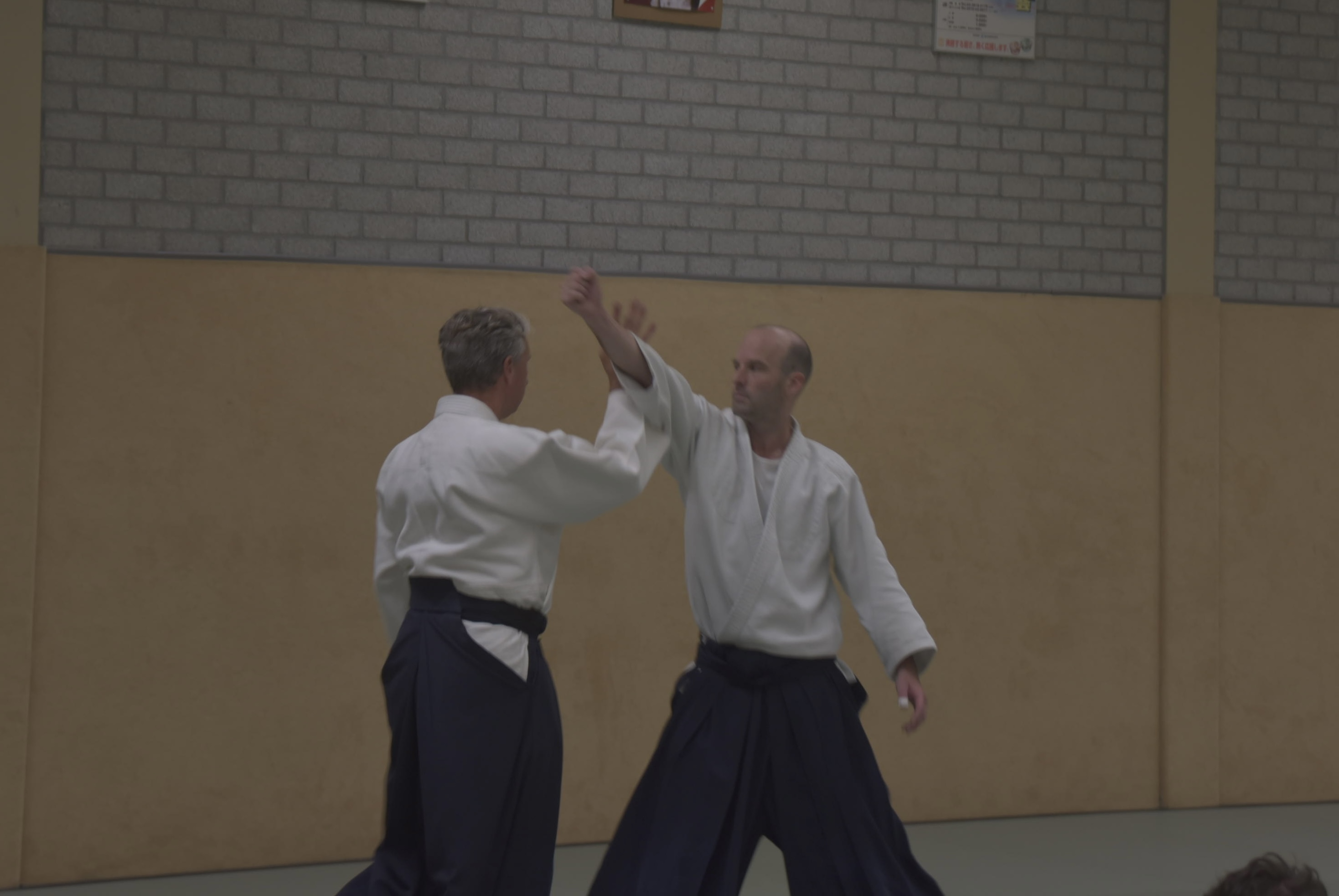 Aikido training Haarlem