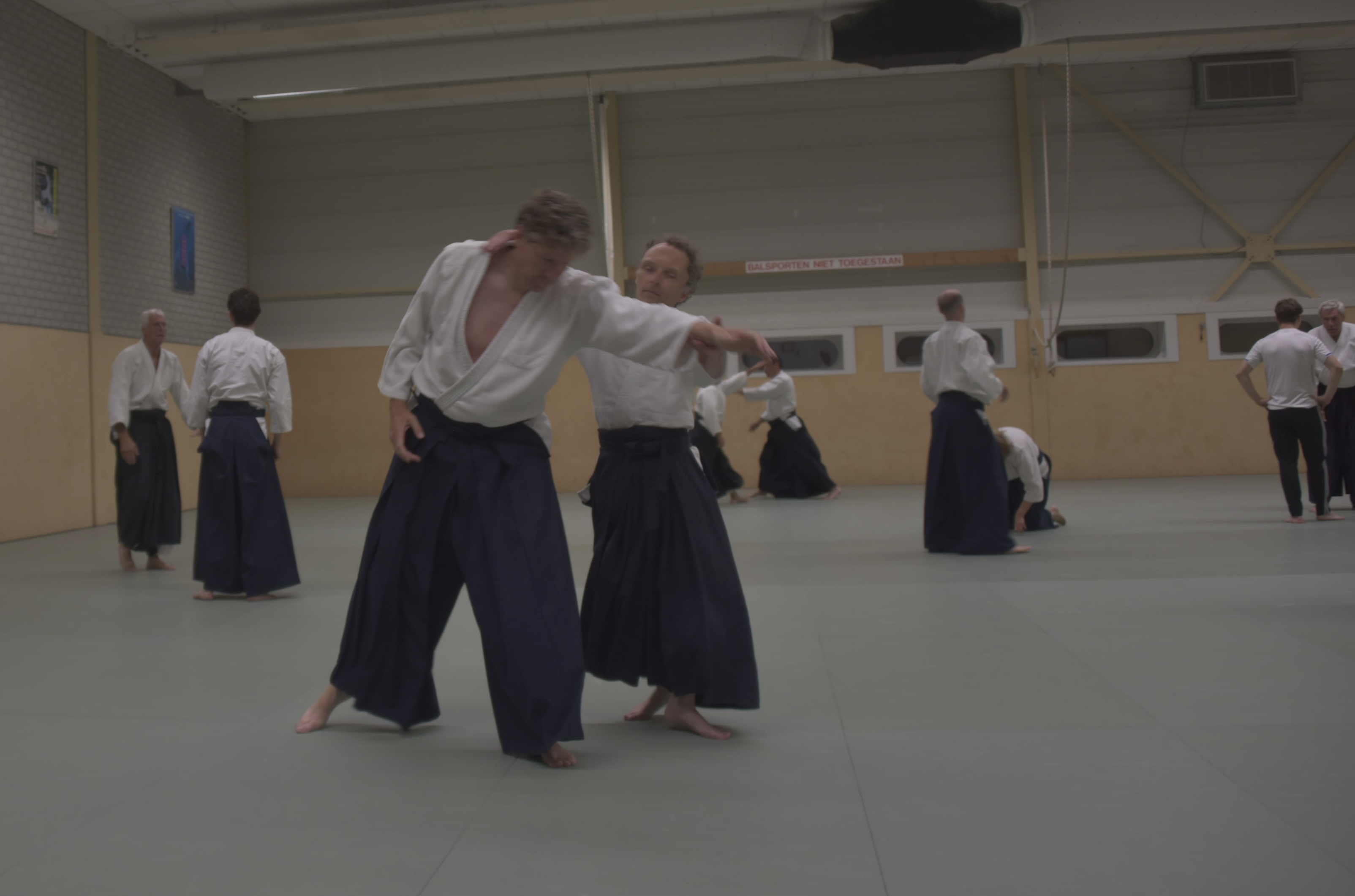 Aikido training Haarlem