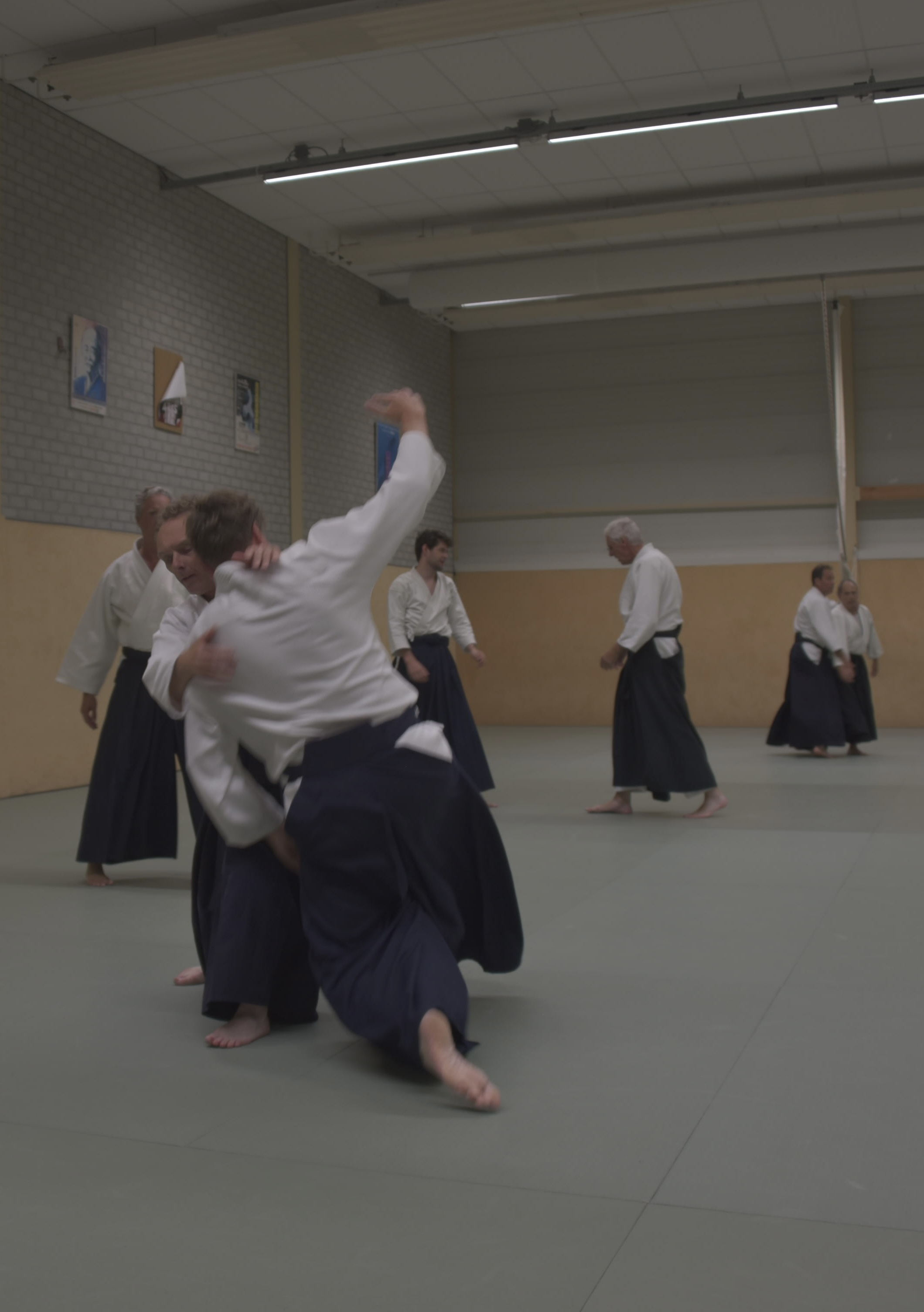 Aikido training Haarlem