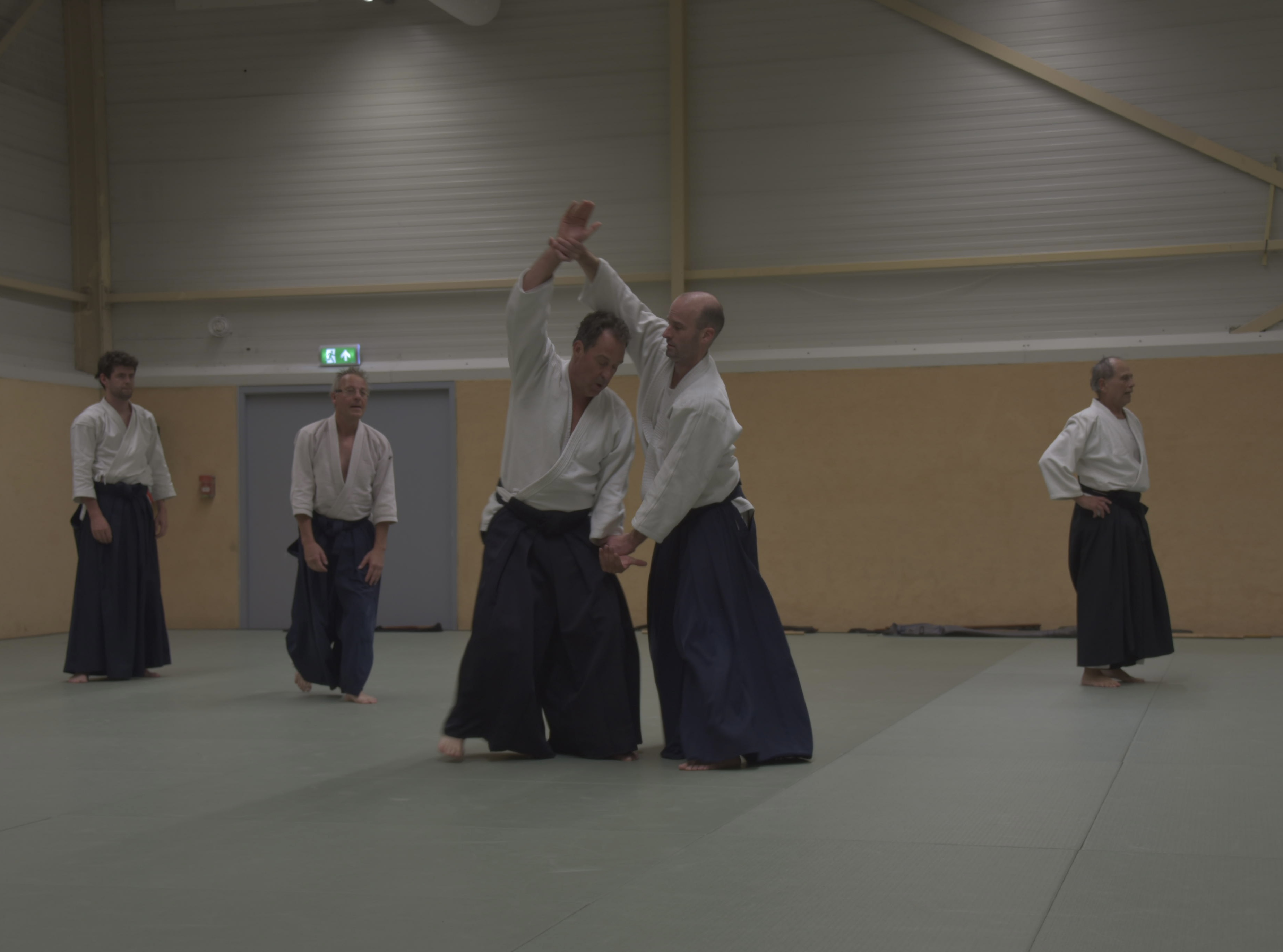 Aikido training Haarlem