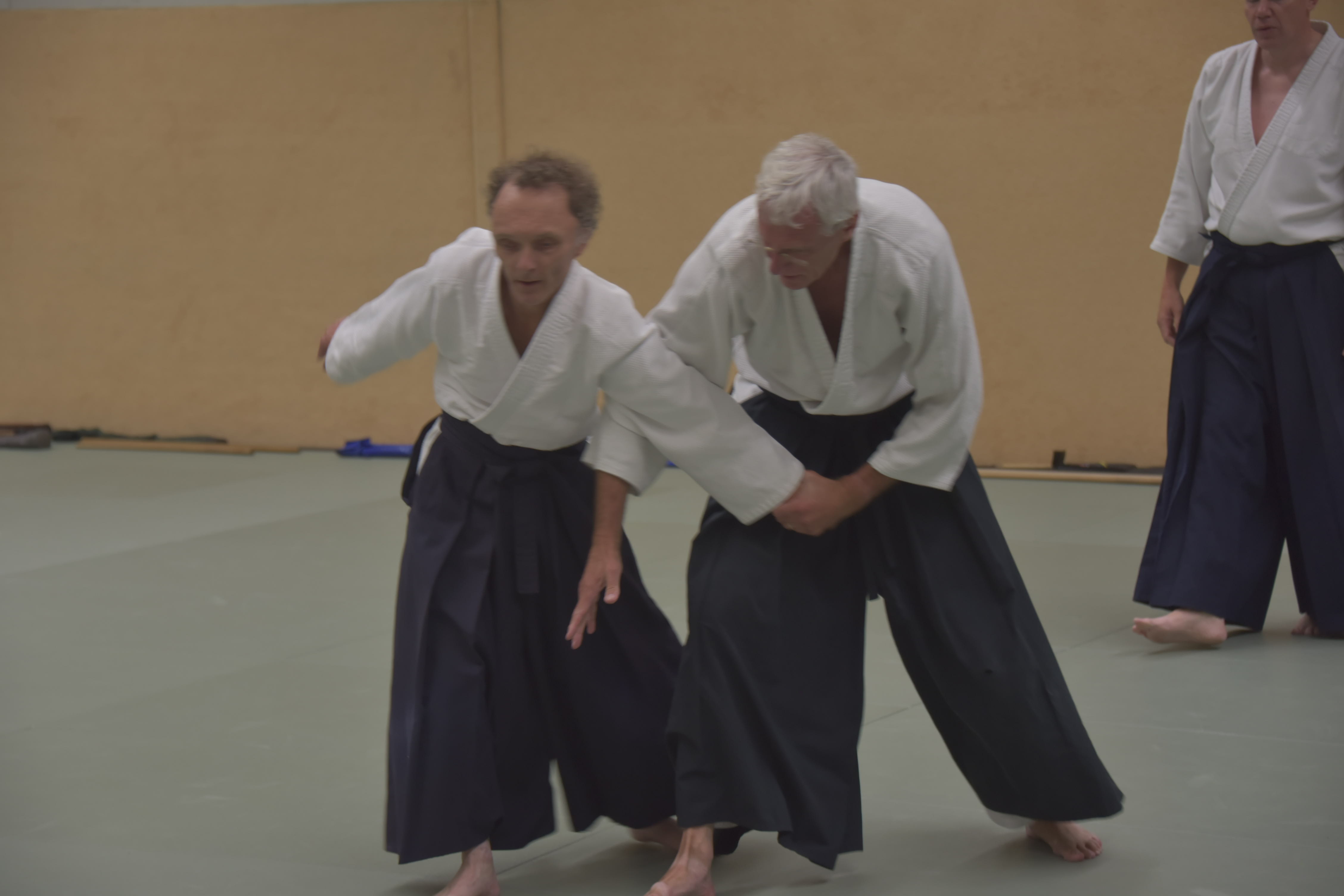 Aikido training Haarlem