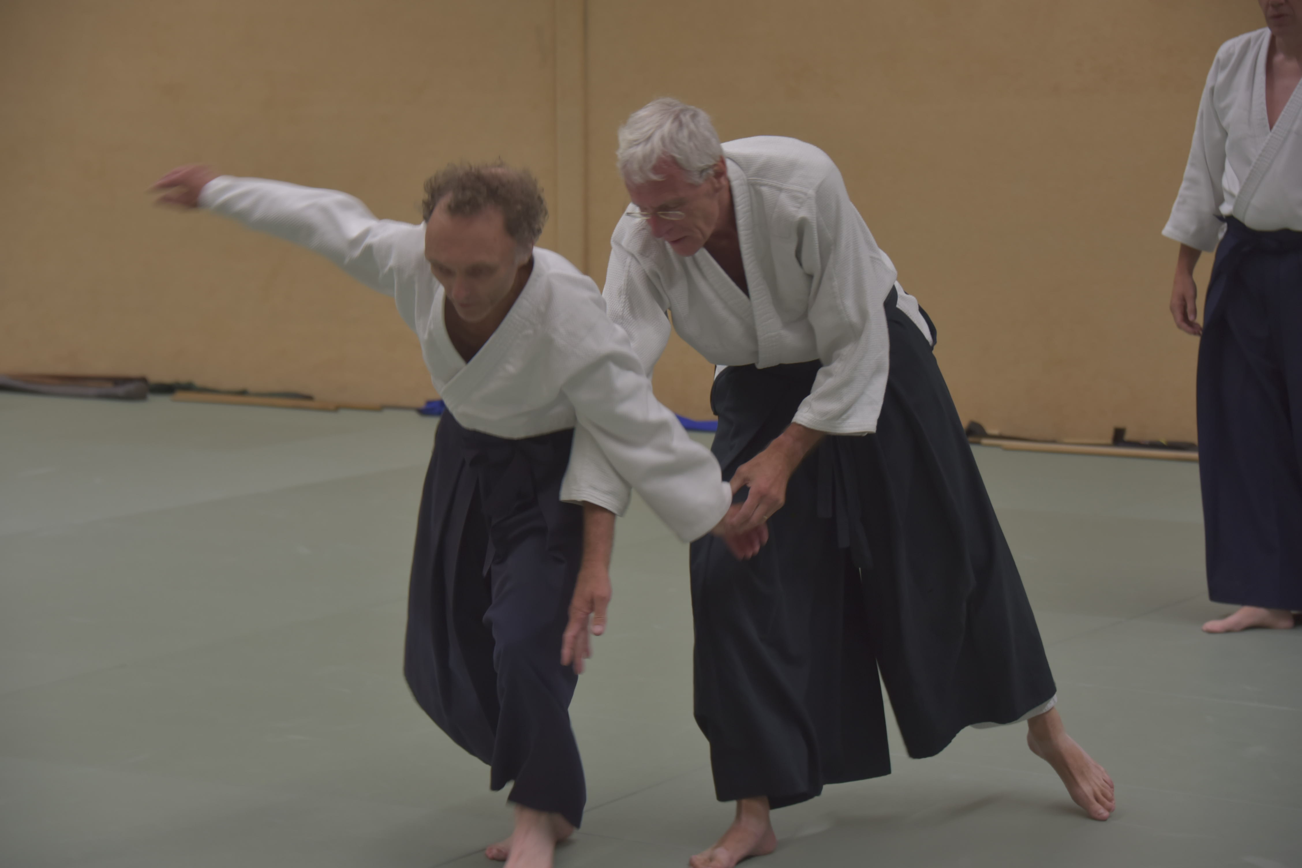 Aikido training Haarlem