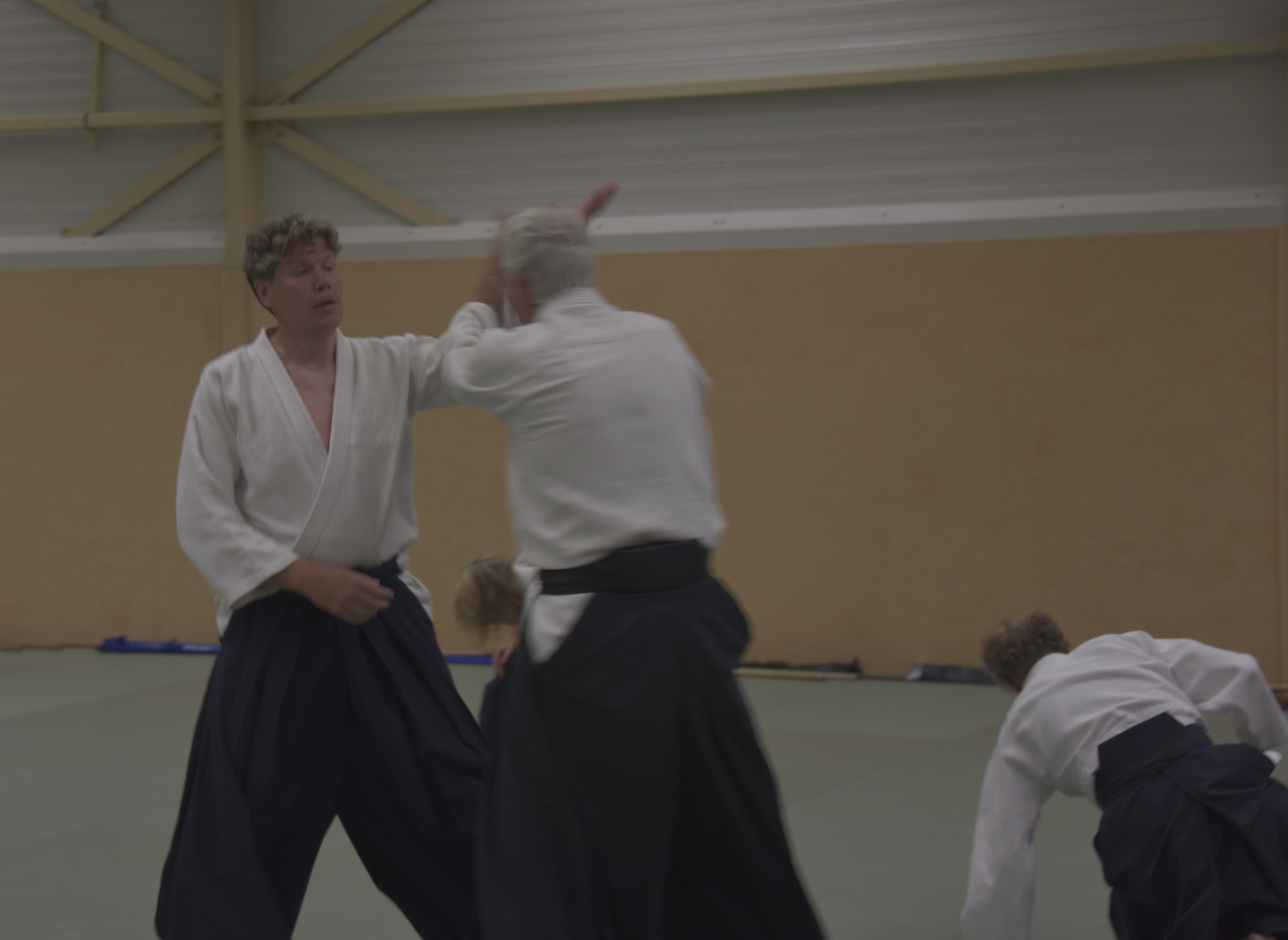 Aikido training Haarlem