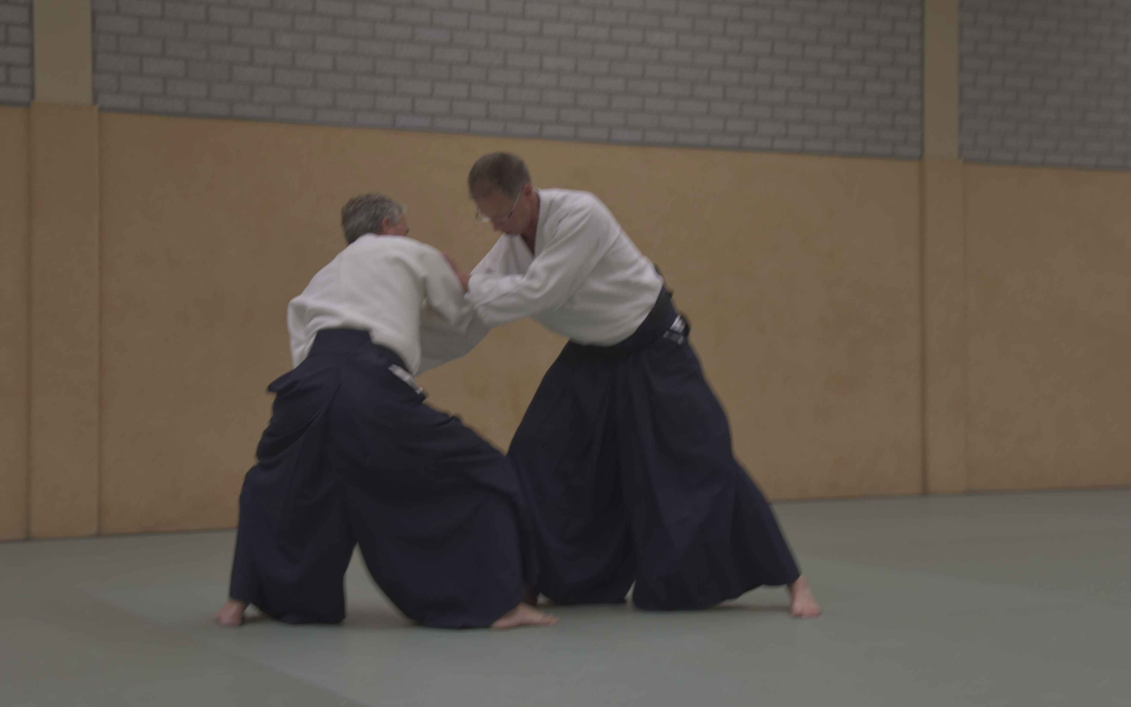 Aikido training Haarlem