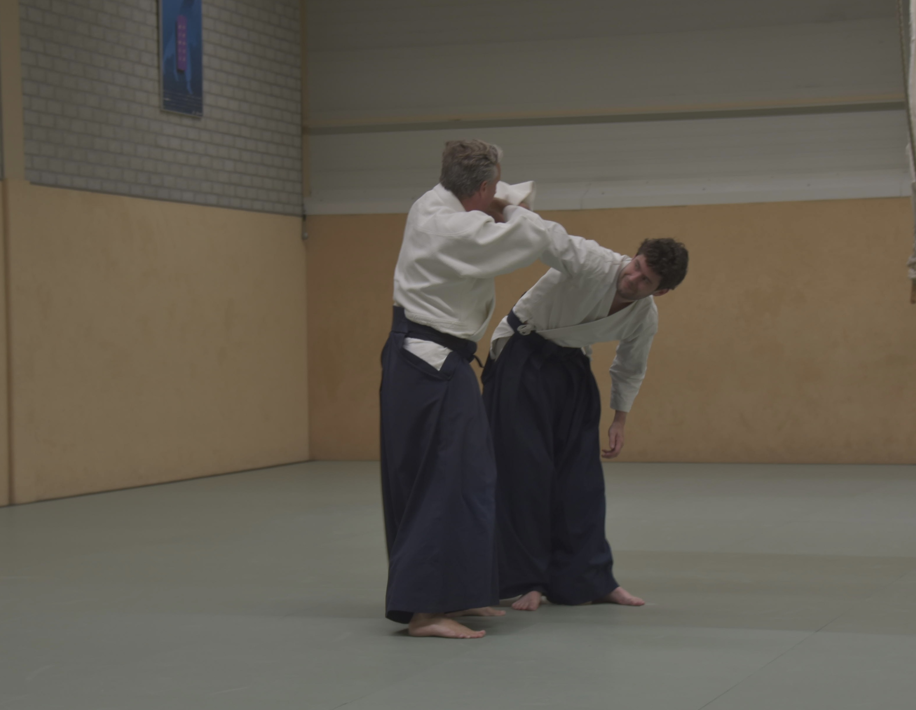 Aikido training Haarlem