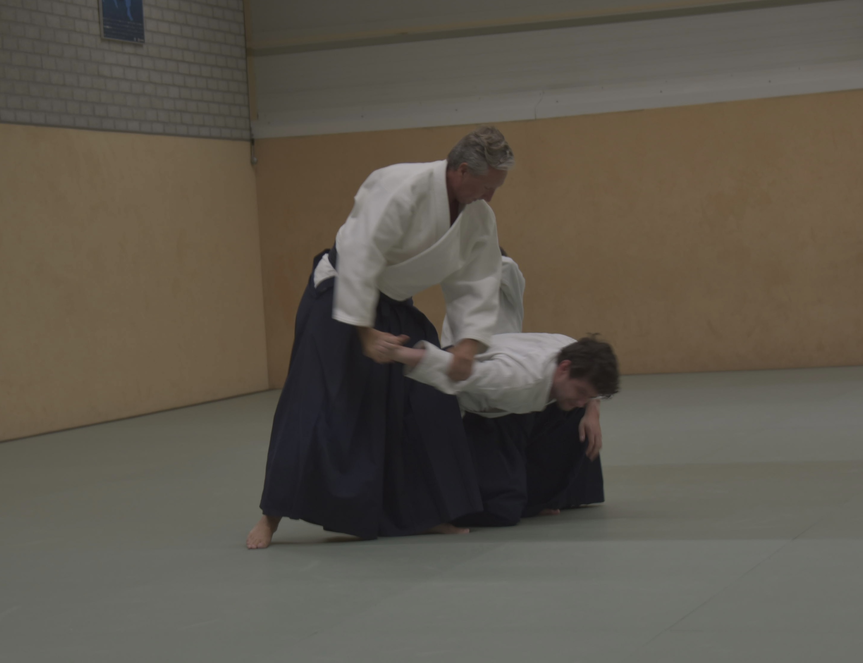 Aikido training Haarlem