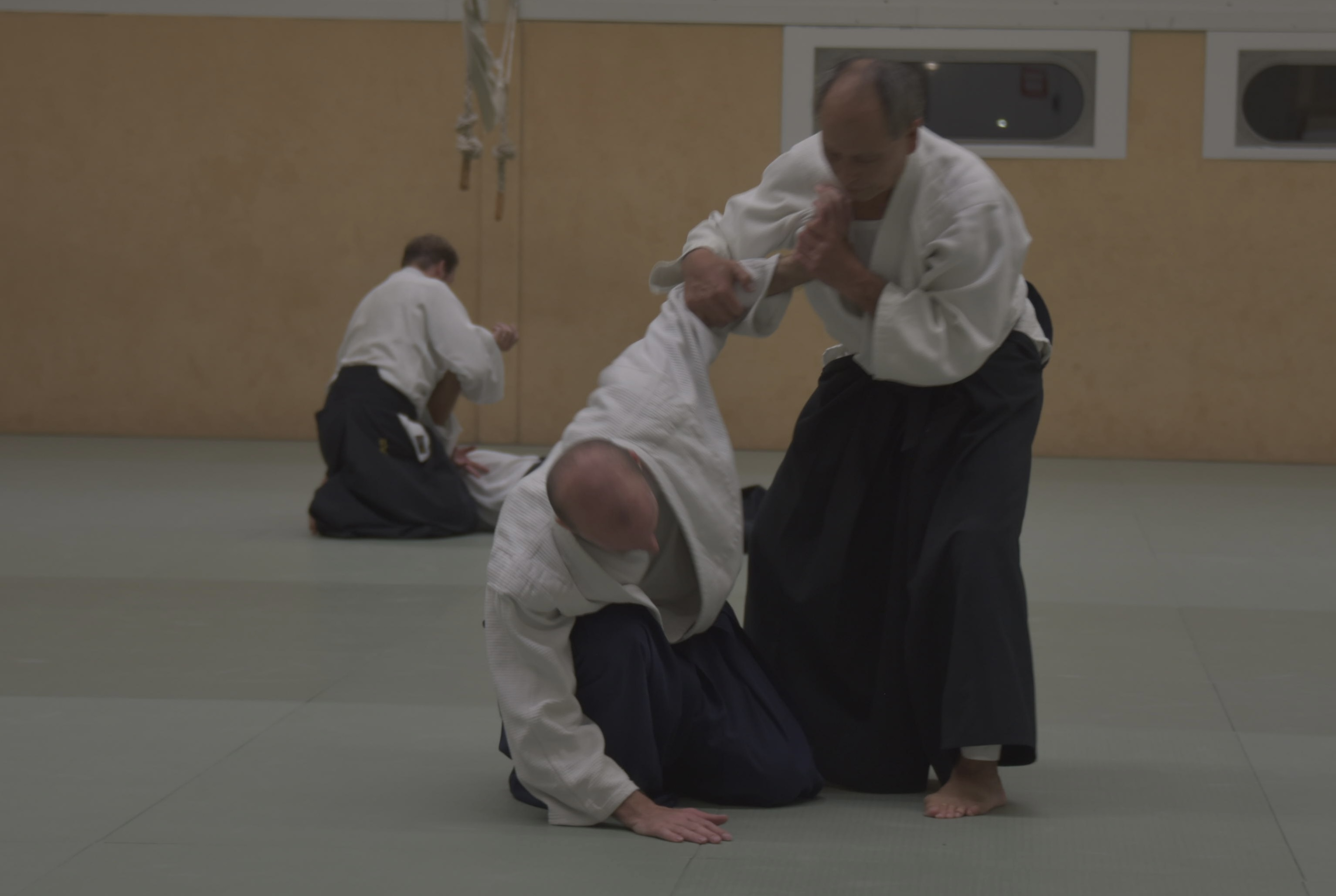 Aikido training Haarlem