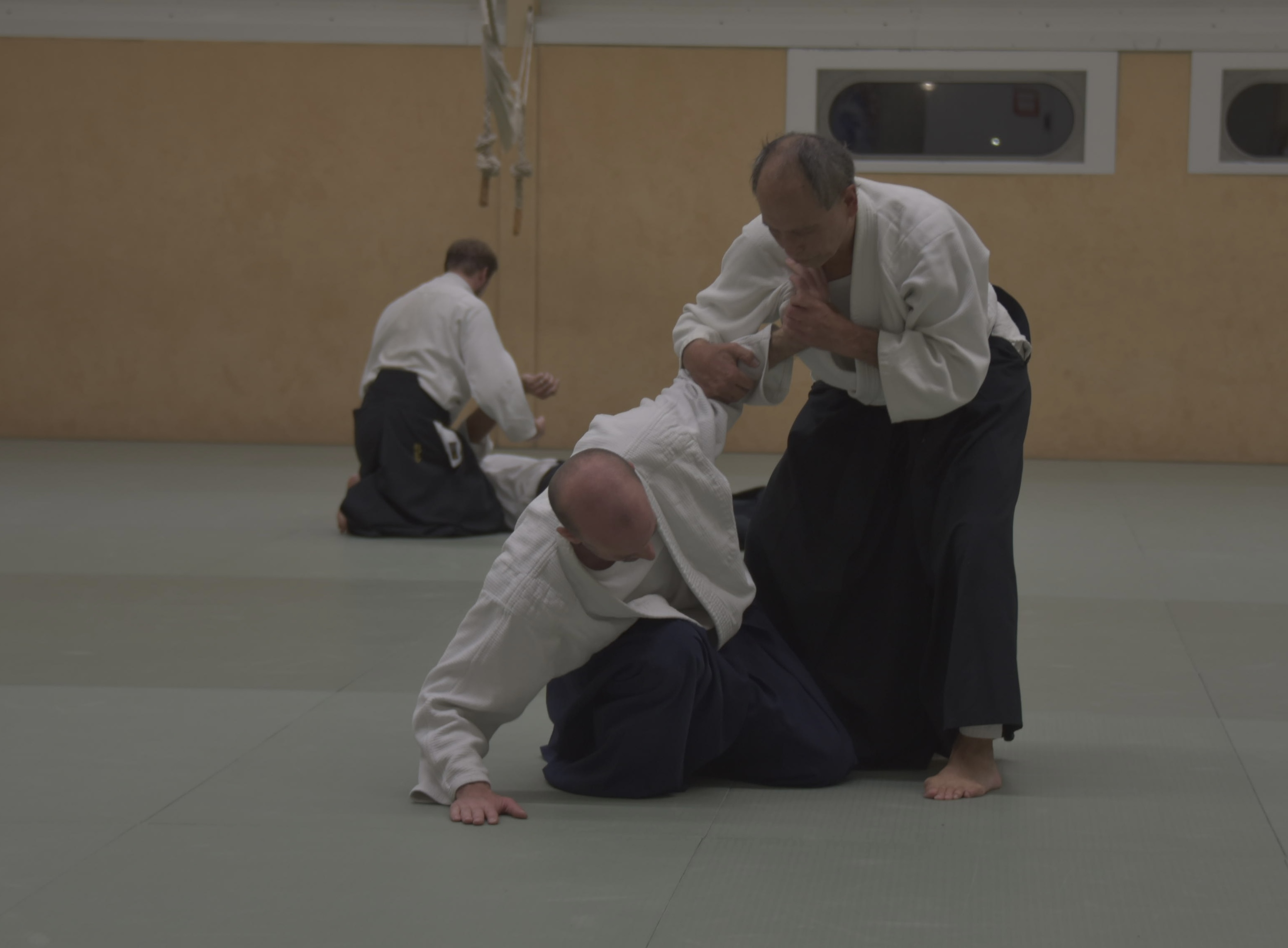 Aikido training Haarlem