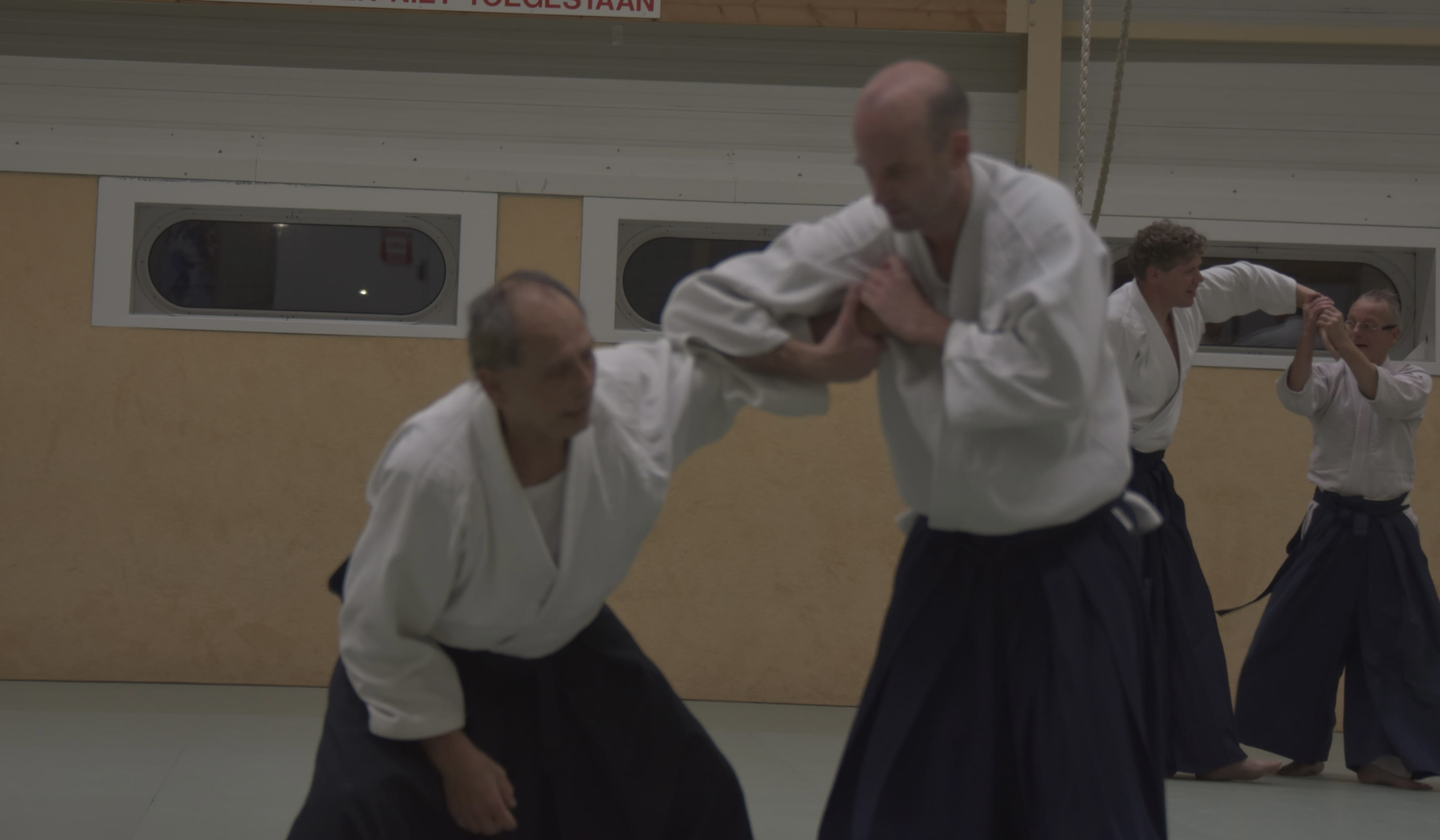 Aikido training Haarlem