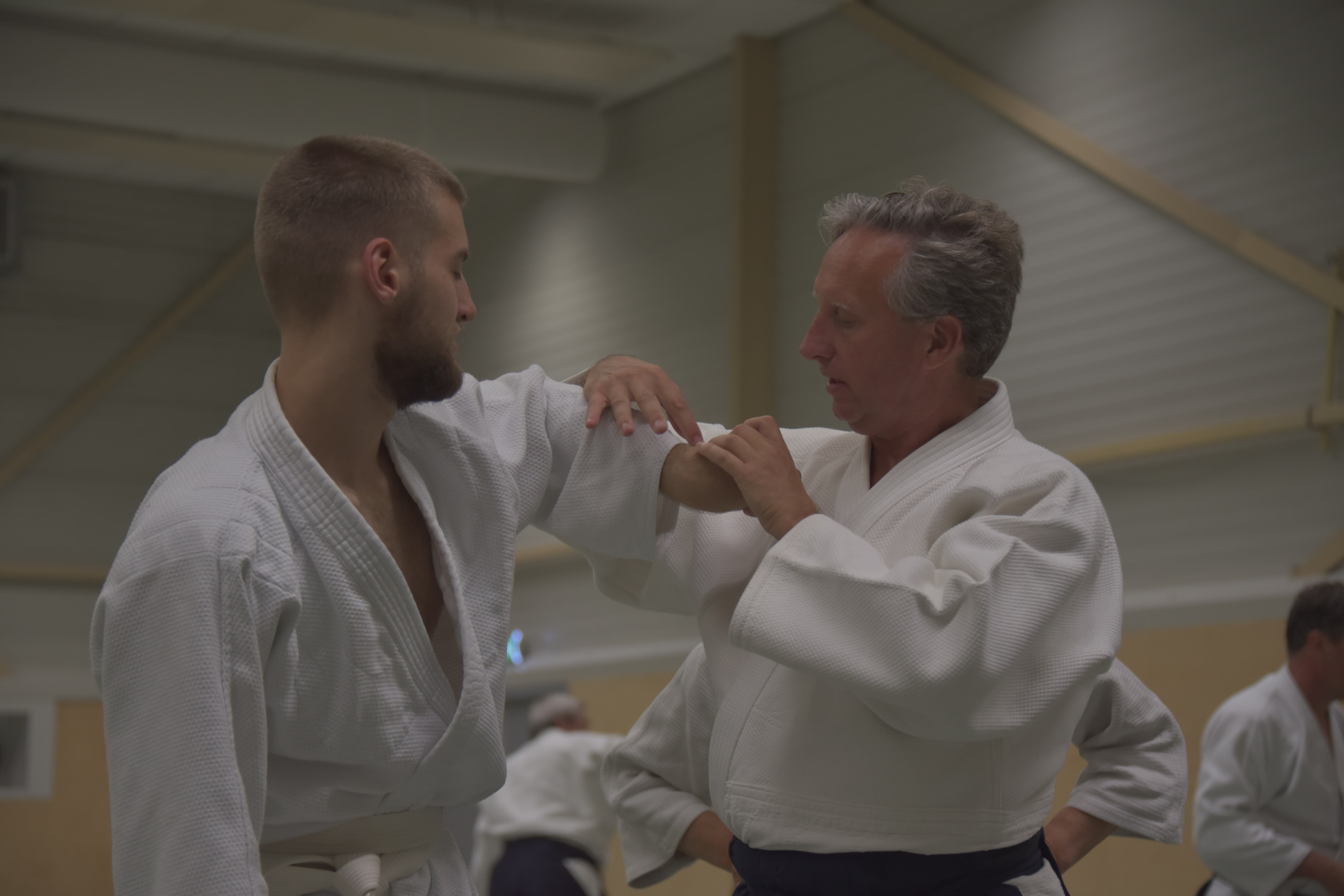 Aikido training Haarlem